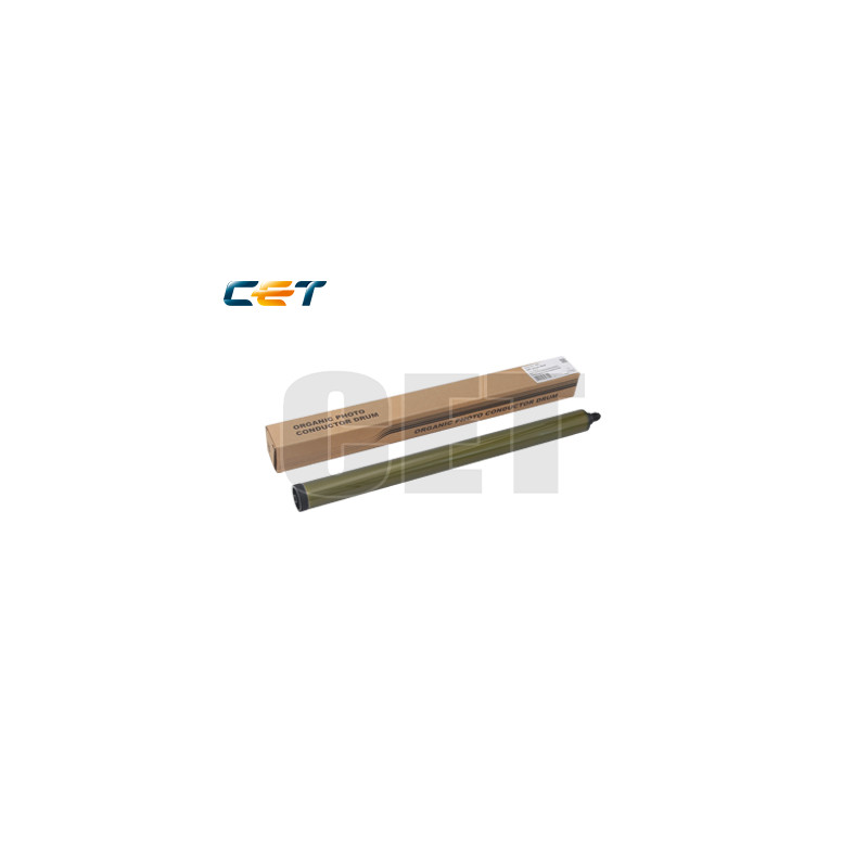 RICE101050 Copiadoras Parts y Toner Ricoh Gray