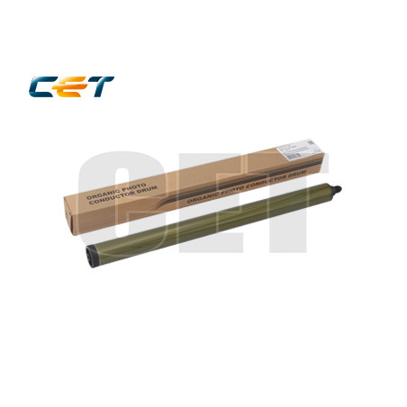 RICE101050 Copiadoras Parts y Toner Ricoh Gray