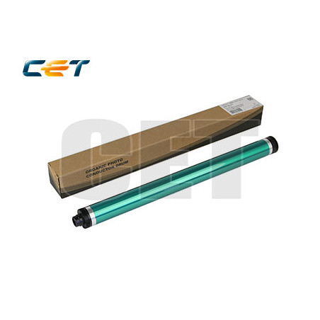 RICE101011 Copiadoras Parts y Toner Ricoh Green