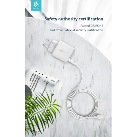 DECHGPDS293 Cargadores y cables Devia Negra