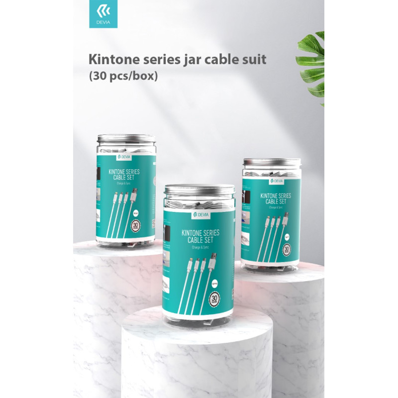 DECBOXL146 Cargadores y cables Devia Bianco